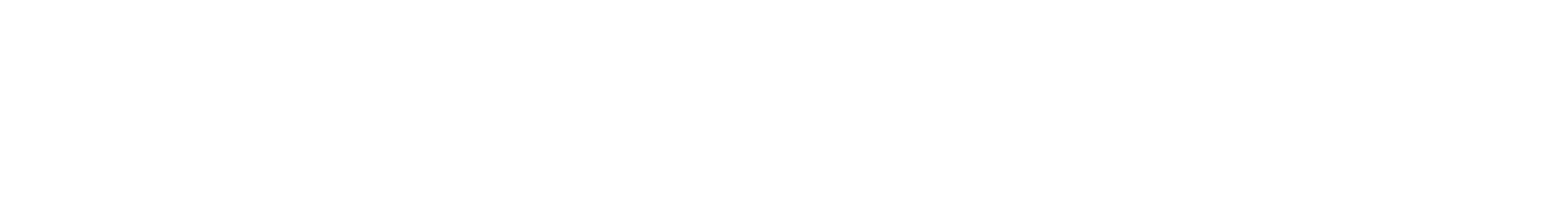 NEXPORT